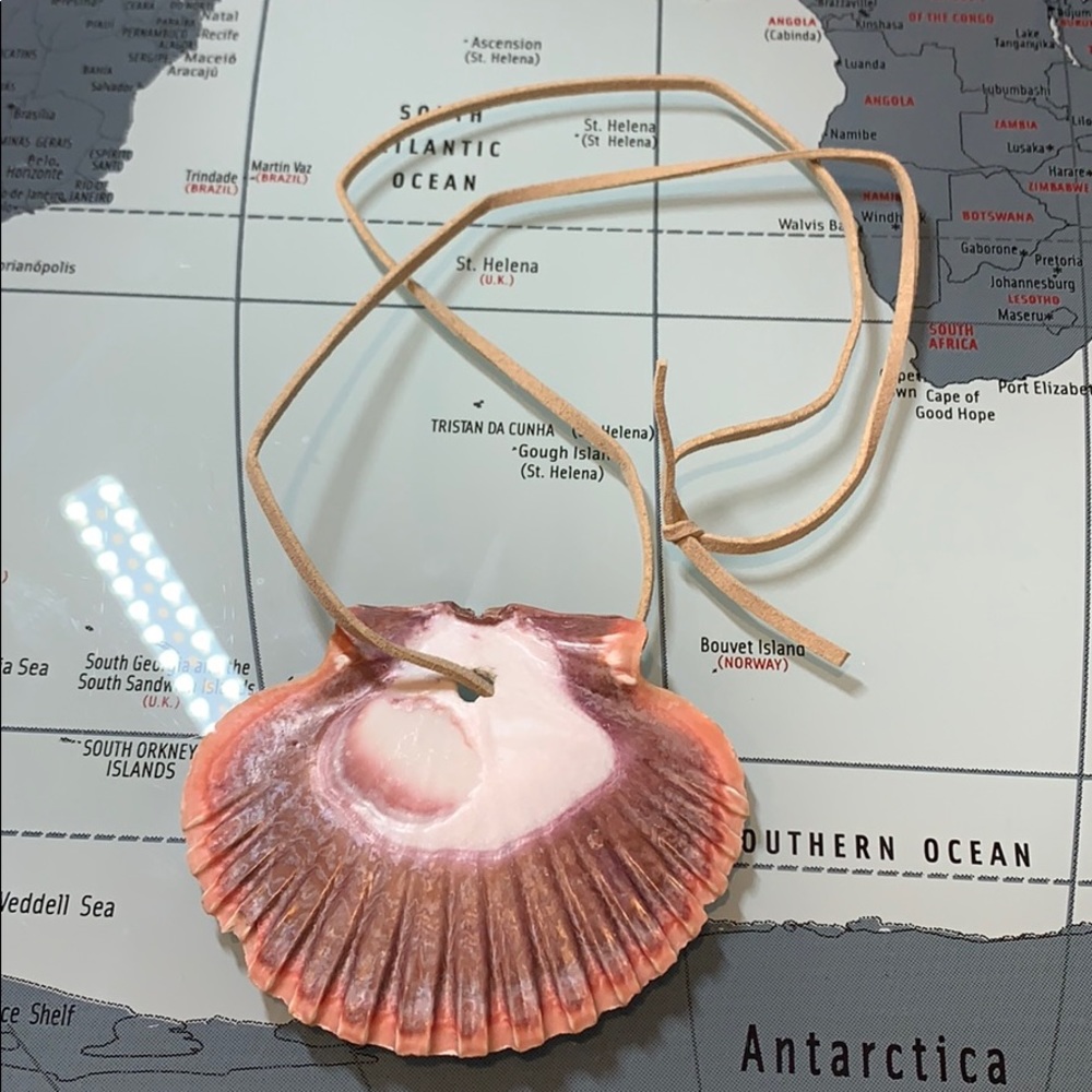 Lucky Sea Shell Necklace